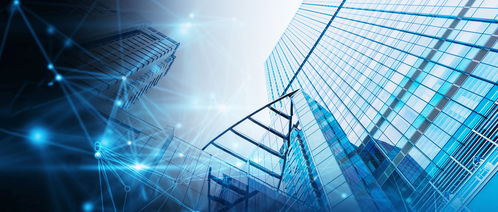 強(qiáng)化信息技術(shù)對(duì)國家治理體系和治理能力現(xiàn)代化的支撐