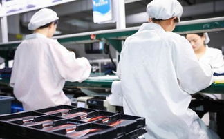 用夯實的基礎(chǔ)一步步走向巔峰,看vivo如何成為最受歡迎品牌