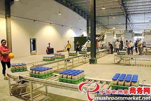 河北光明食品集團(tuán)臨西縣食用菌工廠化建設(shè)項(xiàng)目圓滿竣工，助力現(xiàn)代農(nóng)業(yè)發(fā)展